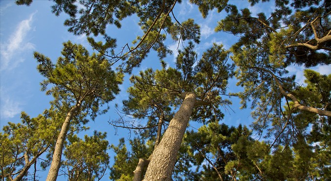 Image courtesy of Tourism Media