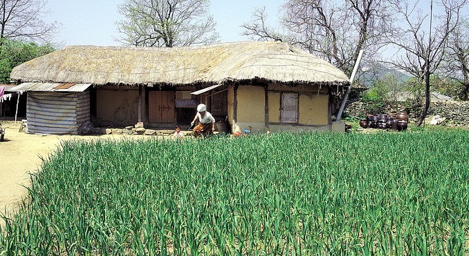 Image courtesy of Korea Tourism Organization