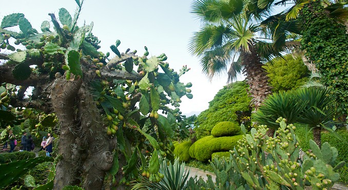 Image courtesy of Tourism Media