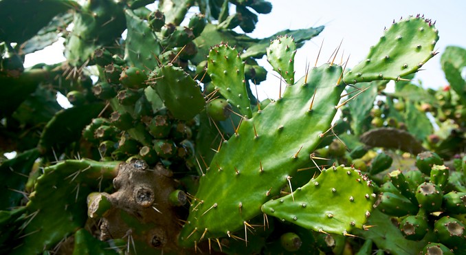 Image courtesy of Tourism Media
