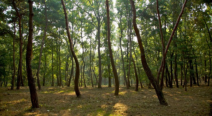 Image courtesy of Tourism Media