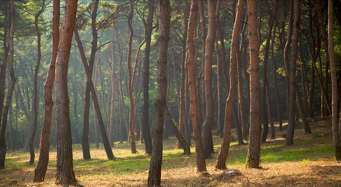 Image courtesy of Tourism Media