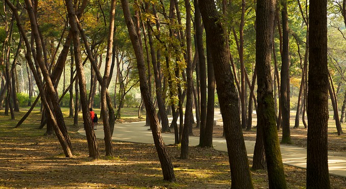 Image courtesy of Tourism Media