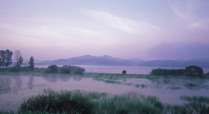 Uponeup Marsh