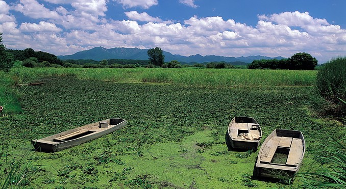 Image courtesy of Korea Tourism Organization