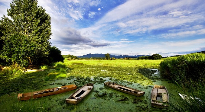 Uponeup Marsh