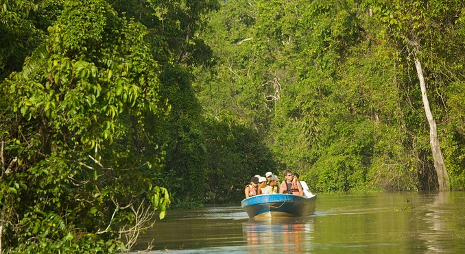 Kinabatangan River