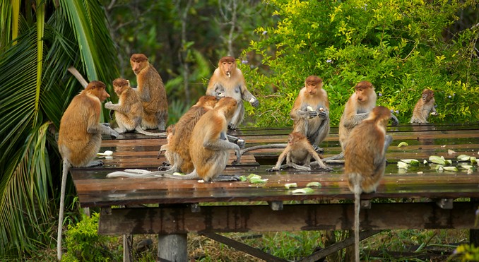 Image courtesy of Tourism Media
