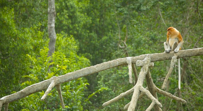 Image courtesy of Tourism Media