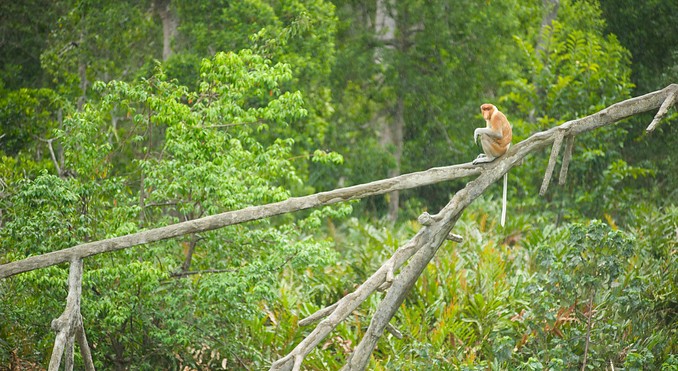 Image courtesy of Tourism Media