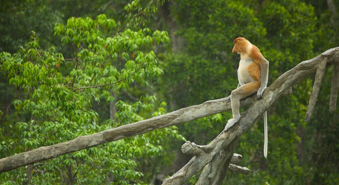 Image courtesy of Tourism Media