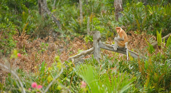 Image courtesy of Tourism Media
