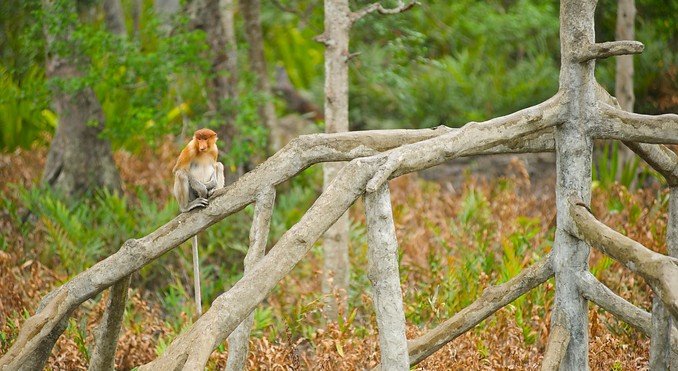 Image courtesy of Tourism Media