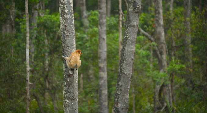 Image courtesy of Tourism Media