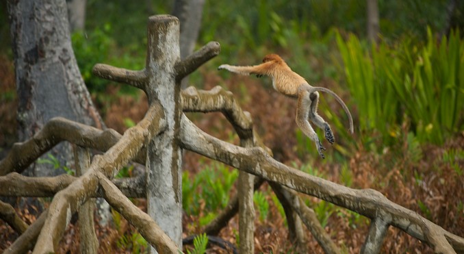 Image courtesy of Tourism Media