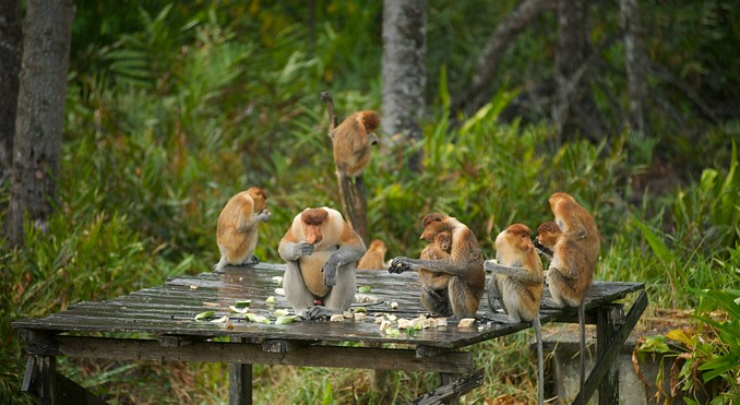 Image courtesy of Tourism Media