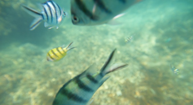 Image courtesy of Tourism Media