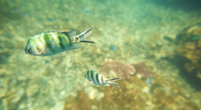 Image courtesy of Tourism Media