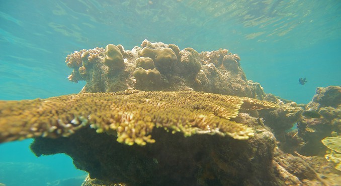 Perhentian Islands
