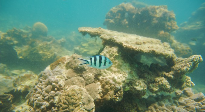 Image courtesy of Tourism Media