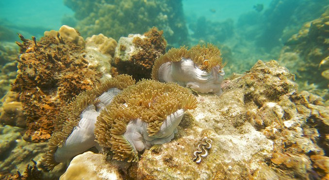 Image courtesy of Tourism Media