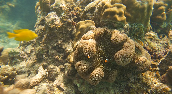 Image courtesy of Tourism Media