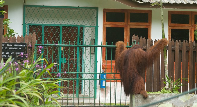 Image courtesy of Tourism Media
