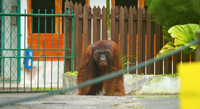 Image courtesy of Tourism Media