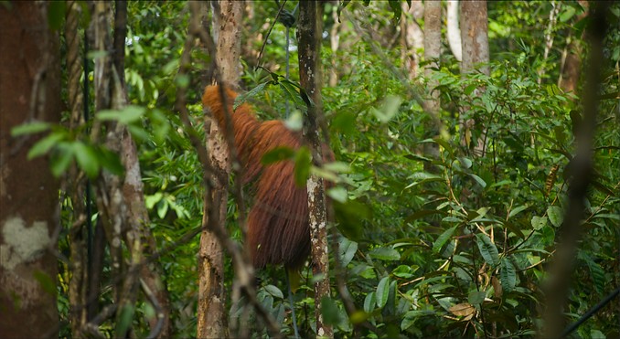Image courtesy of Tourism Media