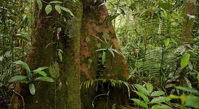 Image courtesy of Tourism Media