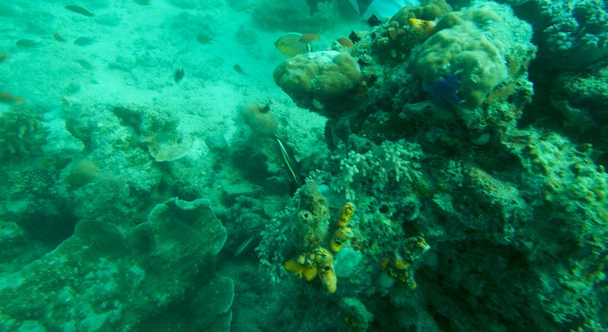 Image courtesy of Tourism Media