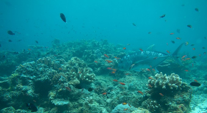 Image courtesy of Tourism Media