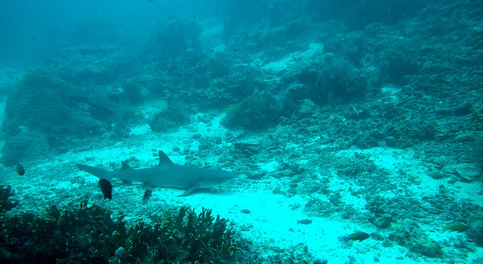 Image courtesy of Tourism Media