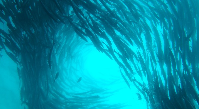 Tun Sakaran Marine Park