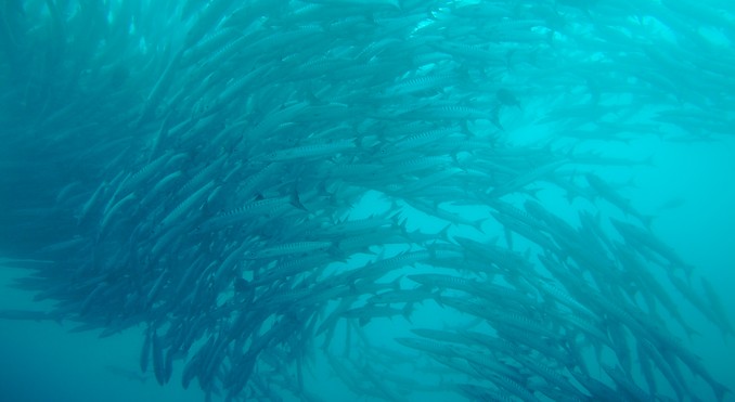 Image courtesy of Tourism Media