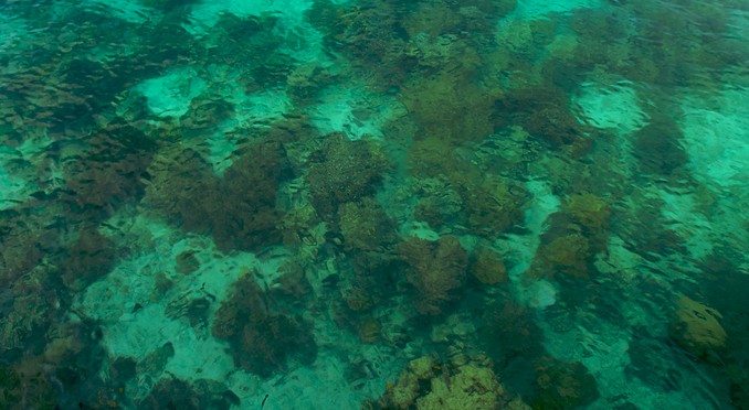 Image courtesy of Tourism Media