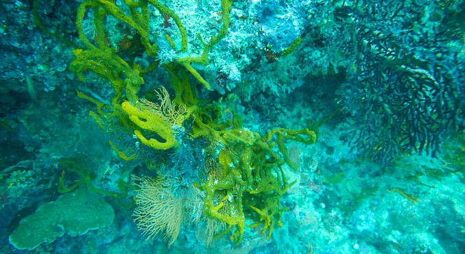 Tun Sakaran Marine Park