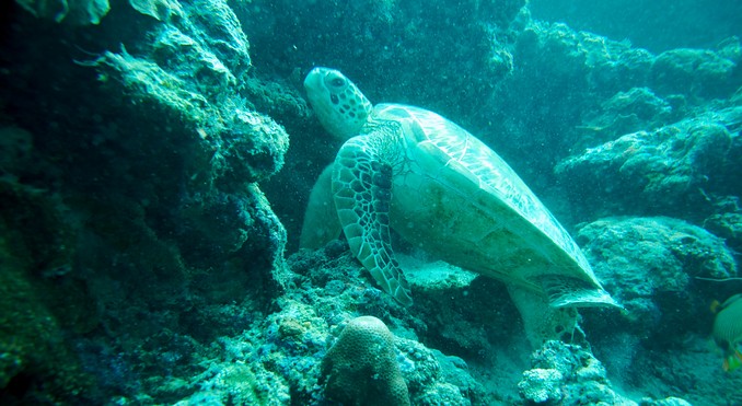 Image courtesy of Tourism Media