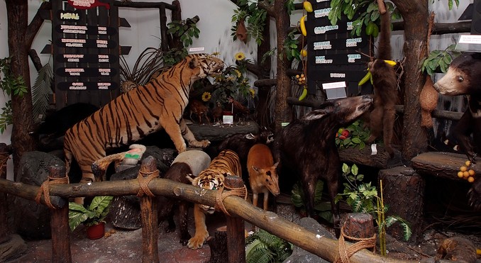 Image courtesy of Tourism Malaysia