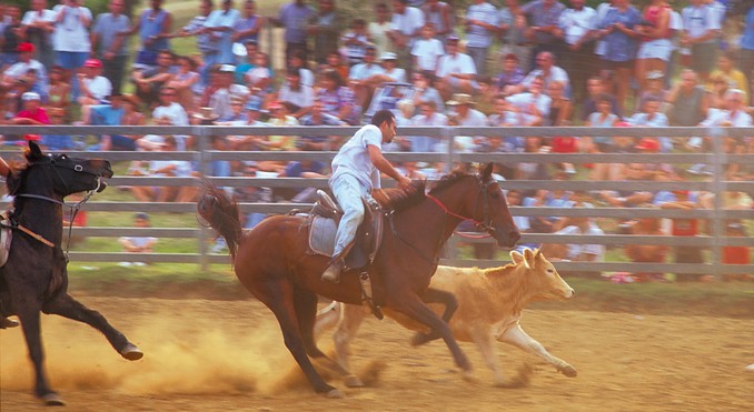Image courtesy of Tourism New Caledonia