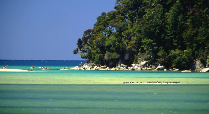 Image courtesy of Nelson Tasman Tourism