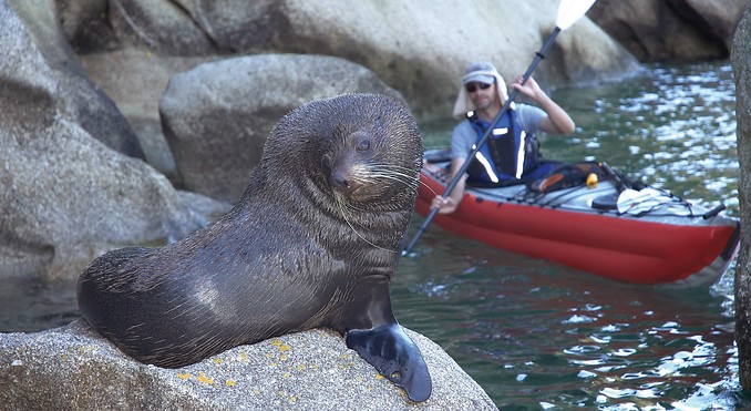 Image courtesy of Tourism New Zealand