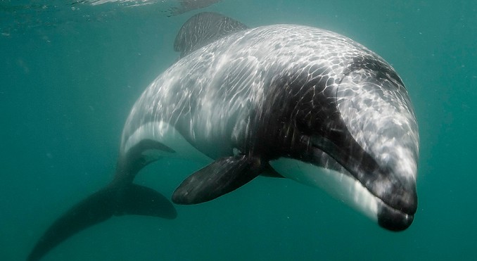 Image courtesy of Tourism New Zealand