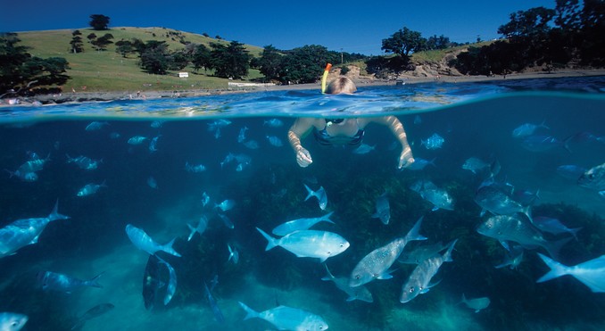 Image courtesy of Tourism New Zealand