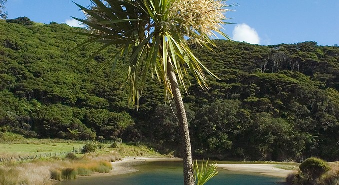 Image courtesy of Tourism New Zealand