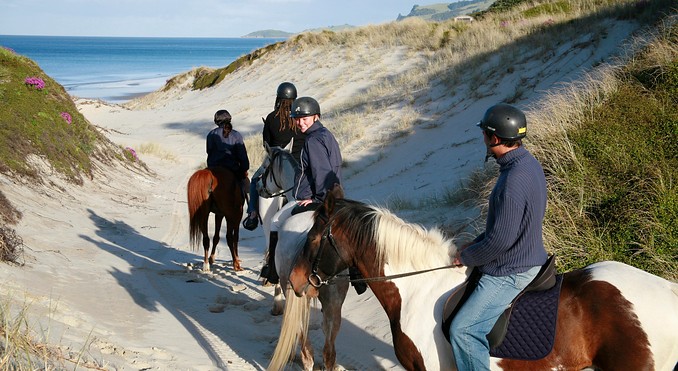 Image courtesy of Tourism New Zealand