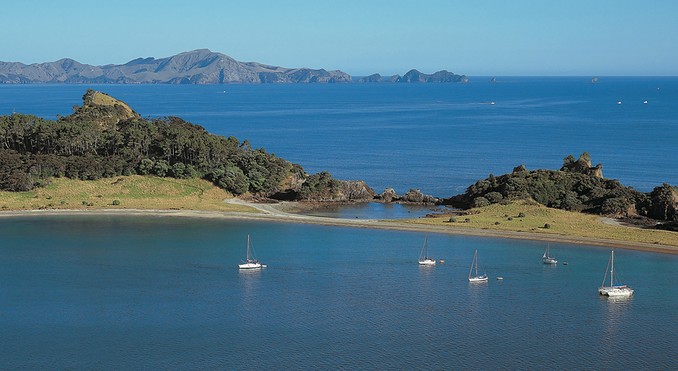 Image courtesy of Destination Northland