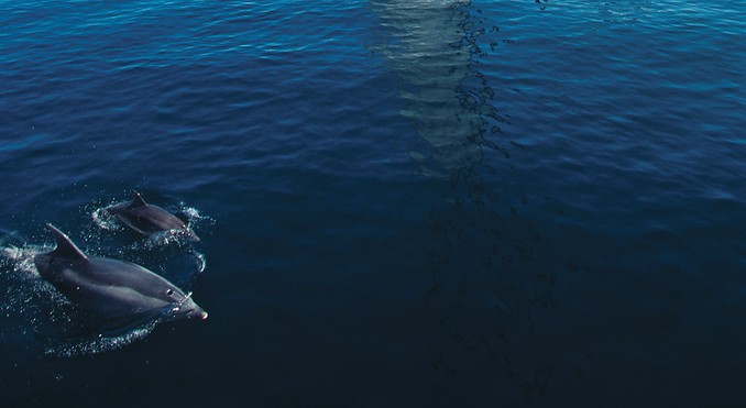 Image courtesy of Tourism New Zealand