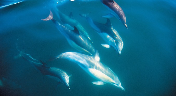 Image courtesy of Tourism New Zealand