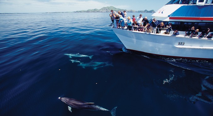 Bay of Islands